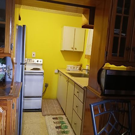 Chelsea Manor Appartement Kingston Buitenkant foto