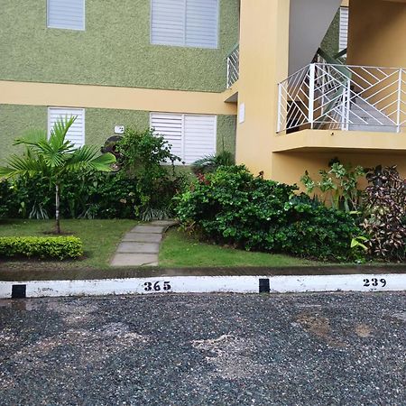 Chelsea Manor Appartement Kingston Buitenkant foto