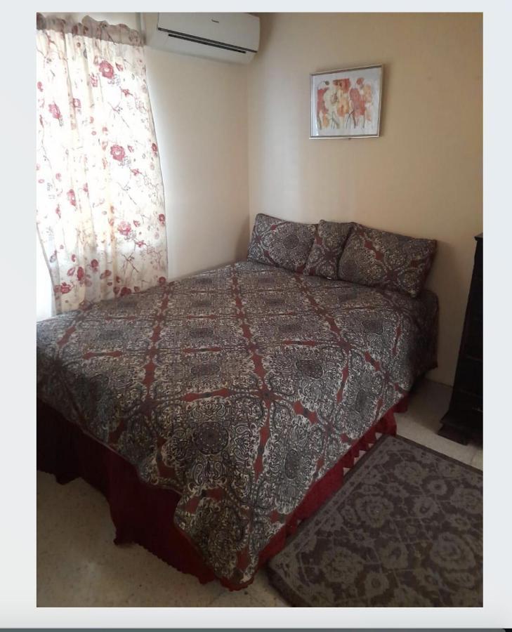 Chelsea Manor Appartement Kingston Buitenkant foto