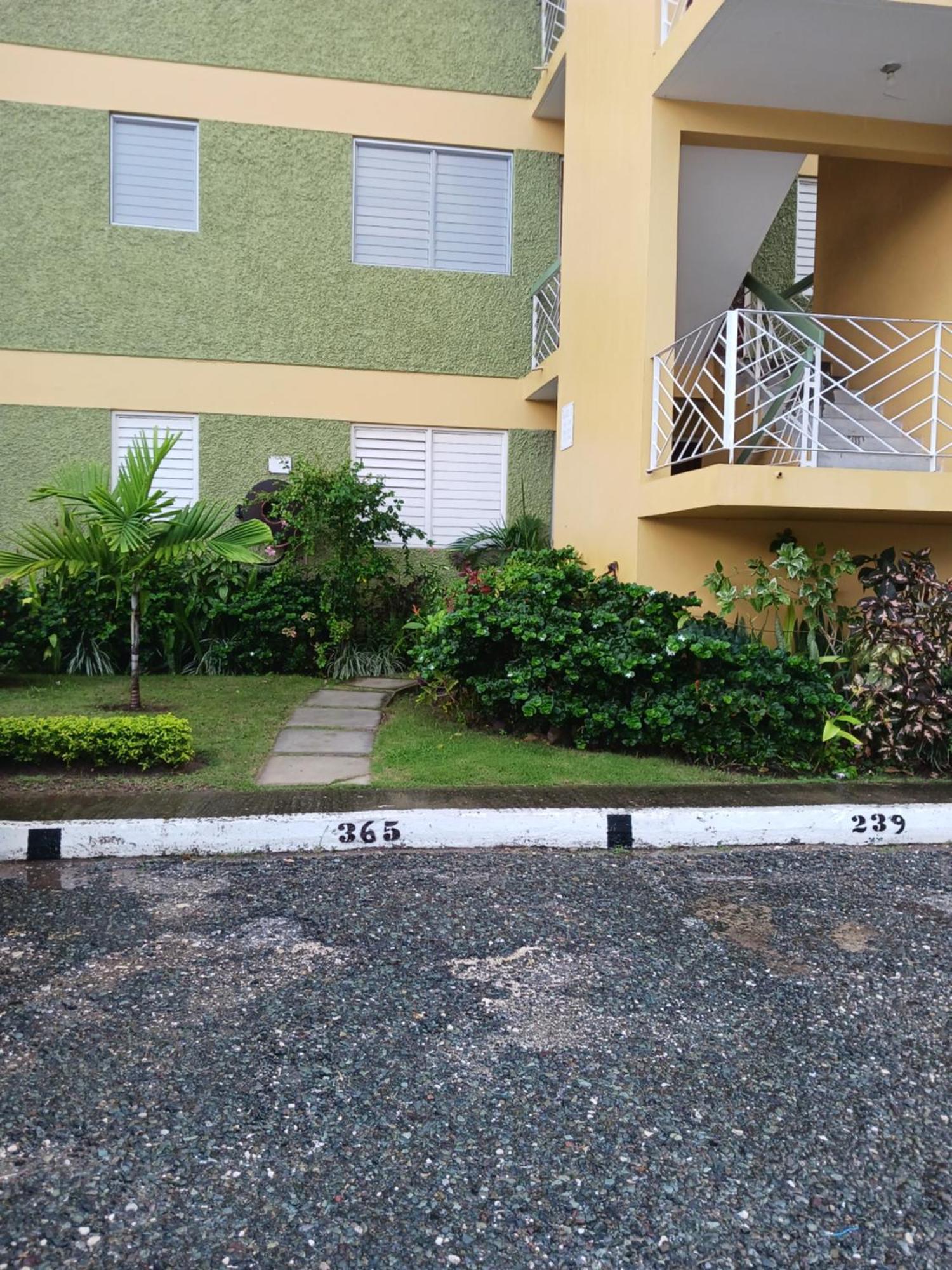 Chelsea Manor Appartement Kingston Buitenkant foto